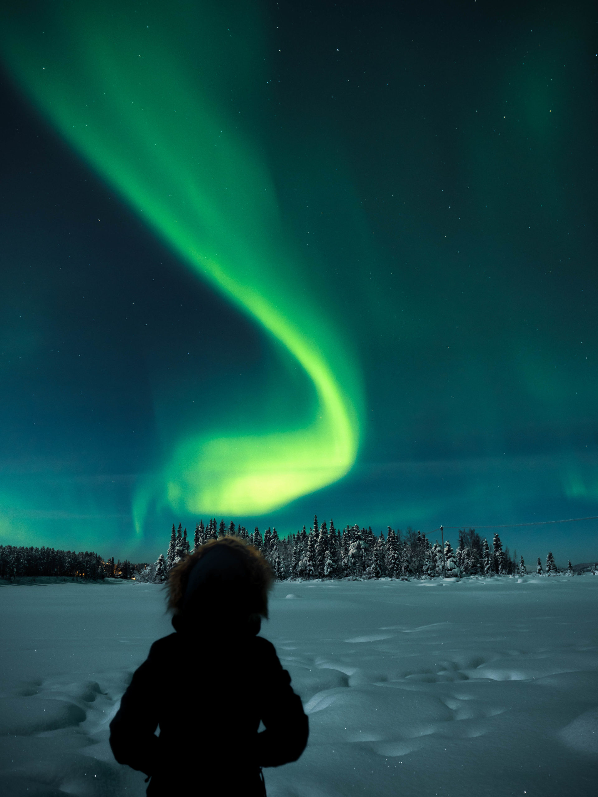 Comment voir des aurores boreales en laponie par temps froid ?