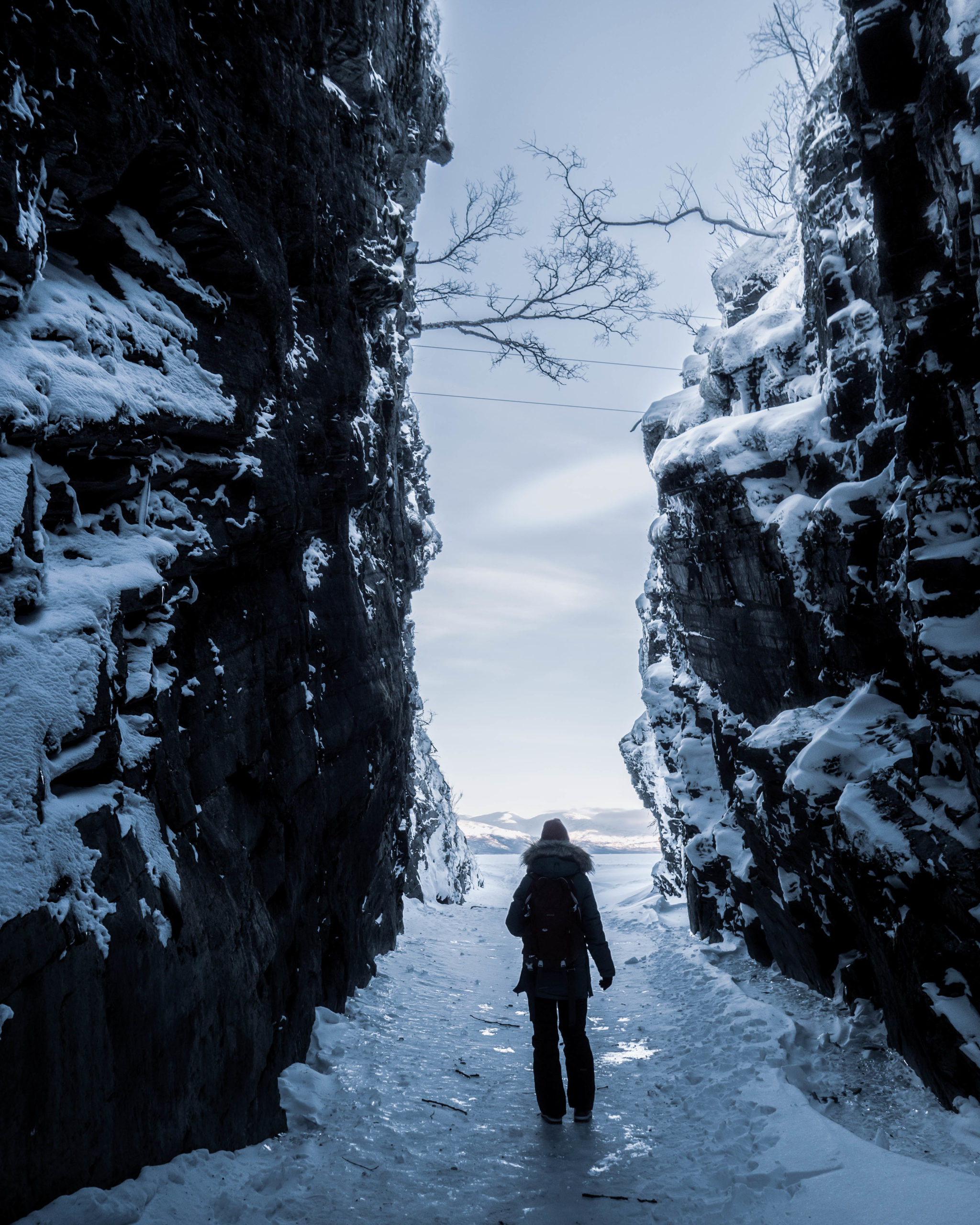 Le parc national d'Abisko froid et sauvage