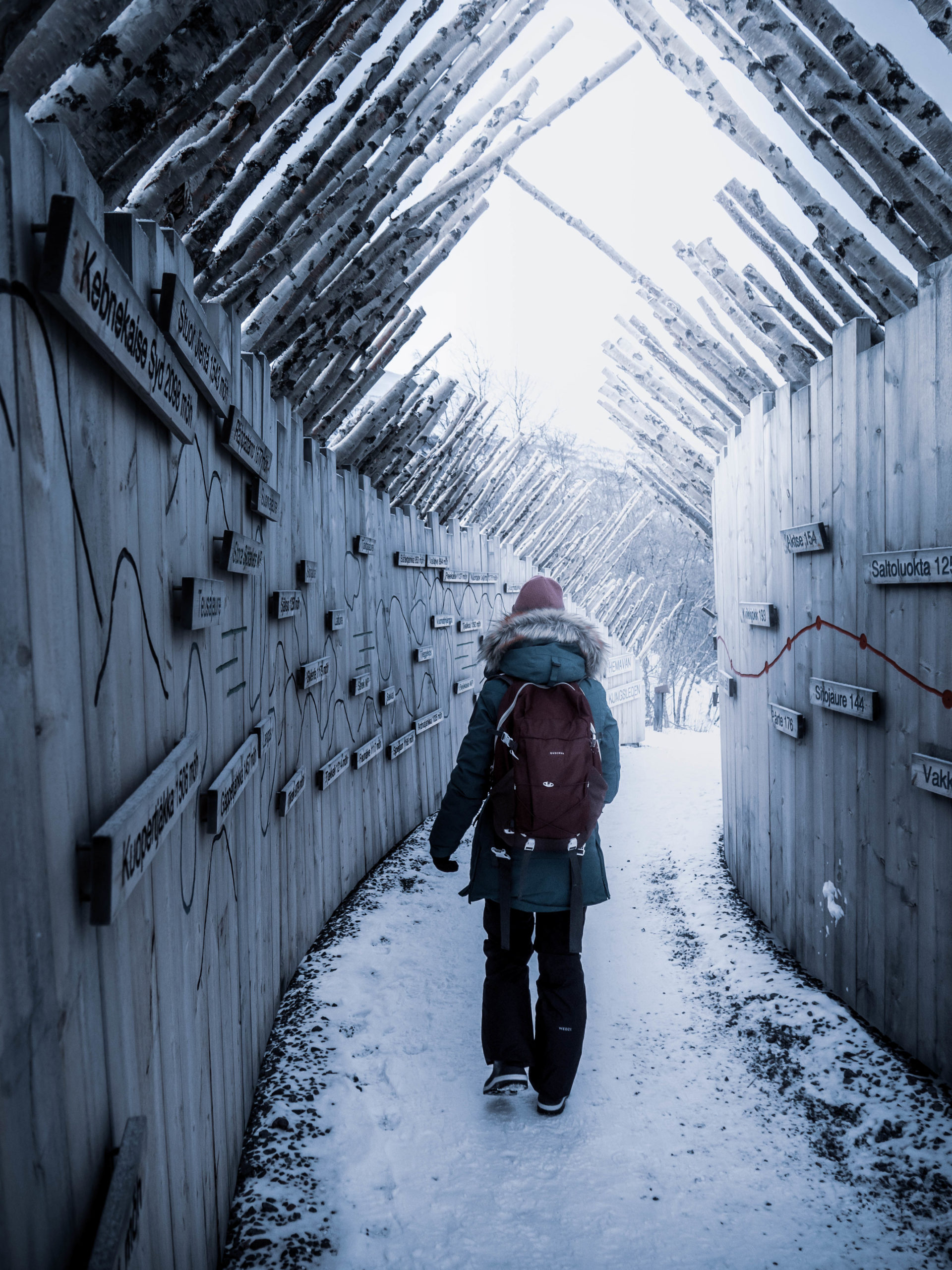 L'entrée dans le parc