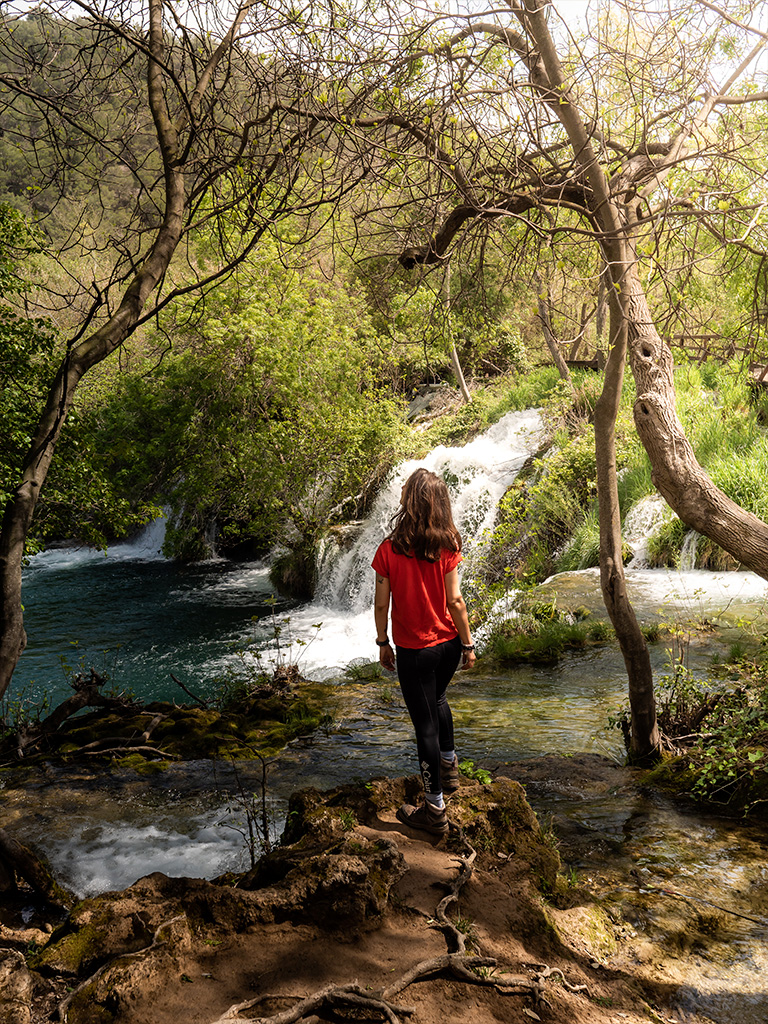 La mangrove de Krka