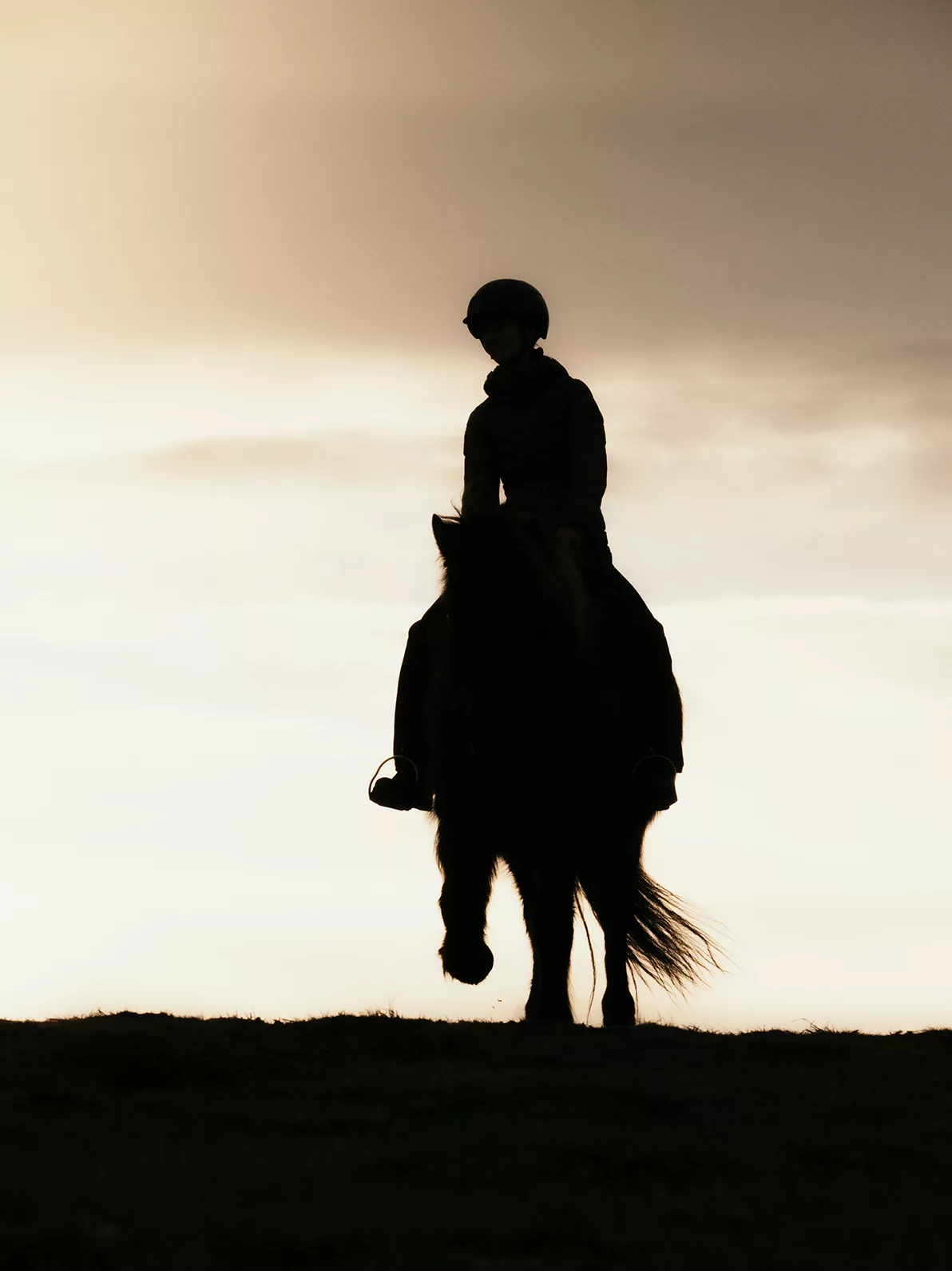 Le tolt fait partie des cinq allures du cheval islandais