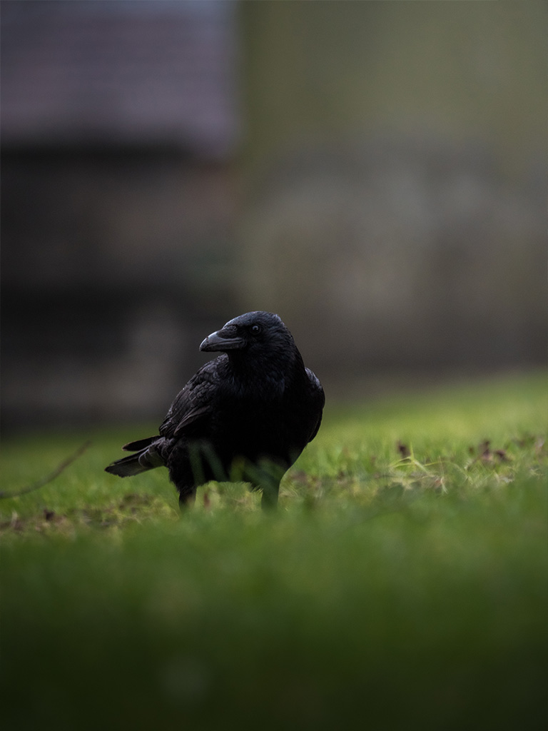 Visite de Greyfriars Kirkyard à Édimbourg